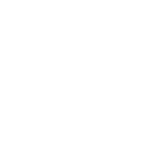 White twitter logo